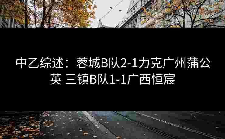 中乙综述：蓉城B队2-1力克广州蒲公英 三镇B队1-1广西恒宸