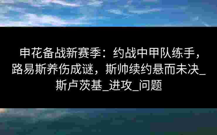 申花备战新赛季：约战中甲队练手，路易斯养伤成谜，斯帅续约悬而未决_斯卢茨基_进攻_问题